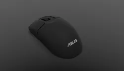 Mouse
