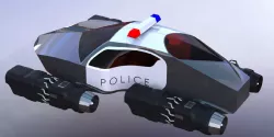 police fly car