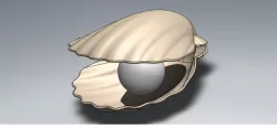 Shell