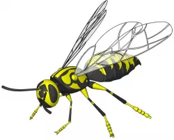 Solidworks Wasp