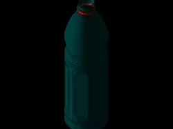 Bottle