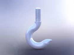 Crane Hook