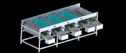 Garlic Sorting Machine