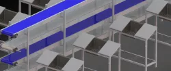 Grapes Manual Sorting & Packing Line