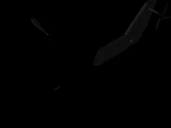 helicopter
