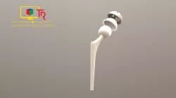 Hip prosthesis