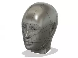 Human face