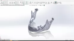 HUMAN MANDIBULA