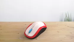 mouse