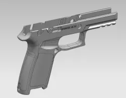 P320 M17Grip