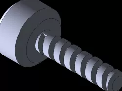Screw