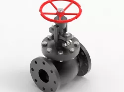 SDNR Globe valve(Screw Down Non-Return valve)