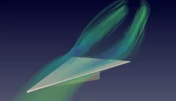 Slender Delta Wings
