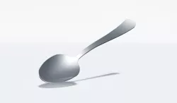 Spoon