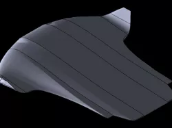 Wingsuit model