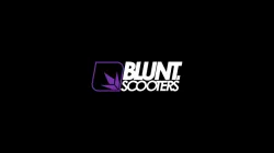 Blunt Logo Decal