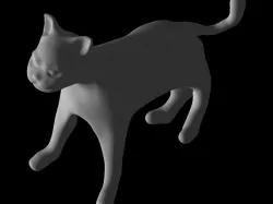 Cat Model Textured