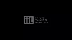 Istituto Italiano di Tecnologia Logo Decal