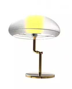 Mushroom lamp