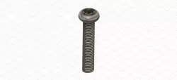 Pan Head Screw