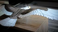 rc eagle 3D Models | Page 1 | STLFinder