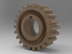 Spur Gear
