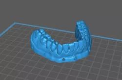 Teeth