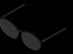 Wayfarer spectacles