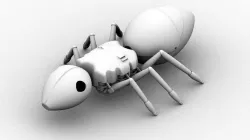 Ant
