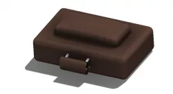 Computer bag