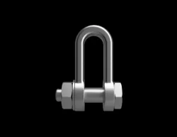 D Shackle Stainless
