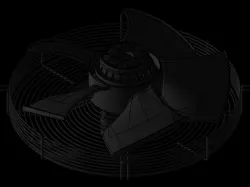 fan