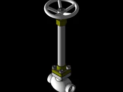 Globe Valve