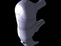 Tapir
