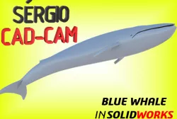 Blue Whale - Sérgio CAM CAD