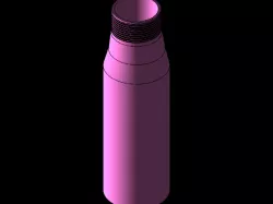 Bottle