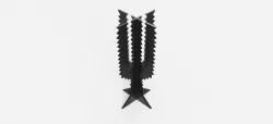 CACTUS 42 GIACOMO BALLA