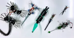 Climbing Robot with Fin Ray Whegs