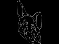 german shepherd 2