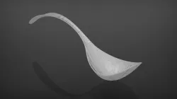Spoon Project