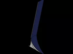whale test 2