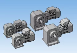 Worm gear motor