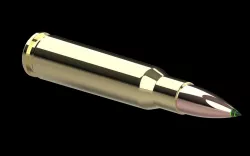 .308 Match
