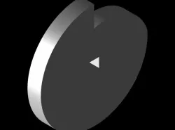 CAM