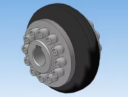 Coupling with flexible toroidal element