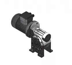 Gear Motor , Worm gears