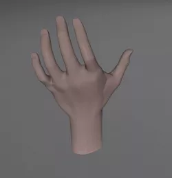 Human Hand MAIN HUMAINE