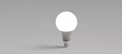 Light bulb