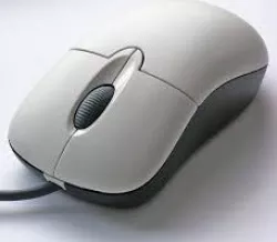 Mouse