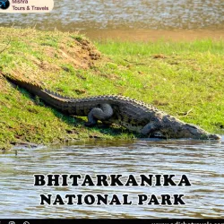 Odisha tour and travels packages